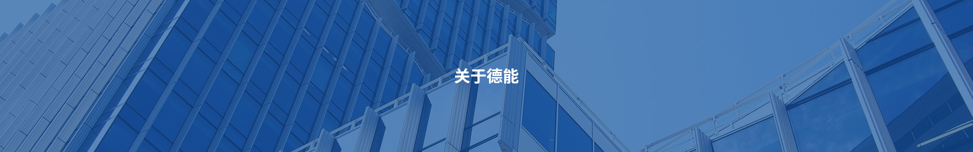 蓝月亮资料大全